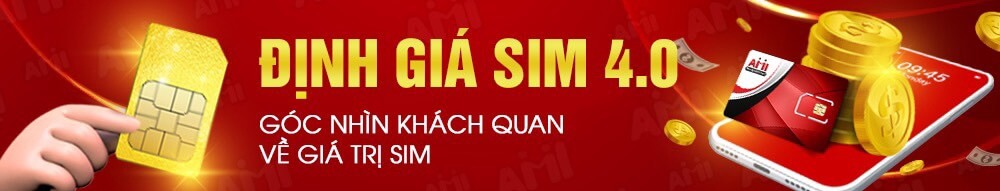 dinh gia sim